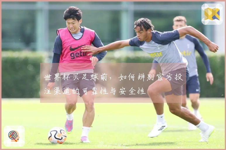 世界杯买足球前，如何辨别官方投注渠道的可靠性与安全性