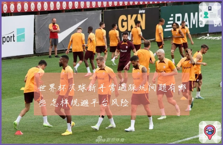 世界杯买球新手常遇踩坑问题有哪些 怎样规避平台风险