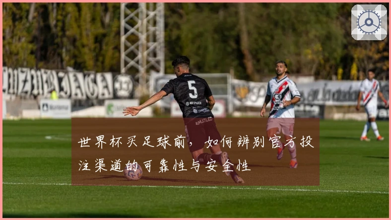 世界杯买足球前，如何辨别官方投注渠道的可靠性与安全性